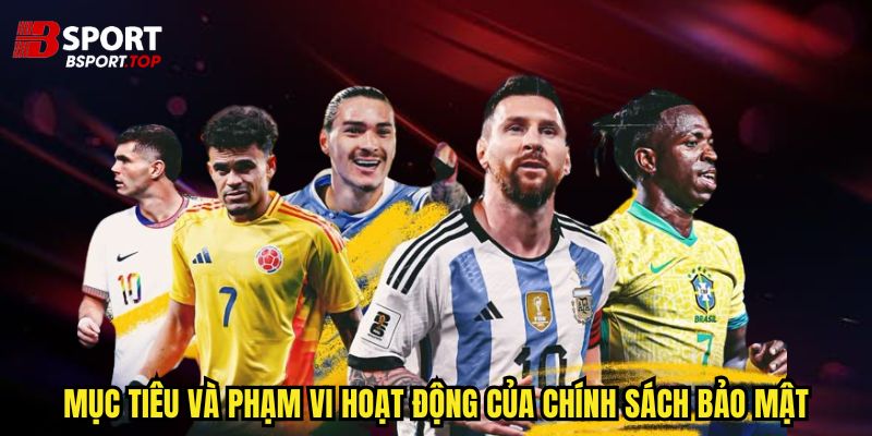 Chính Sách Bảo Mật - Những Quyền Lợi Hấp Dẫn - zivip.mom