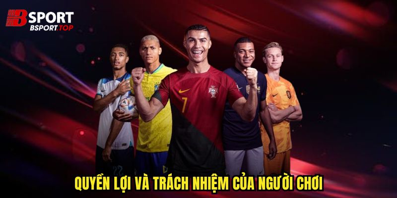 Chính Sách Bảo Mật - Những Quyền Lợi Hấp Dẫn - zivip.mom