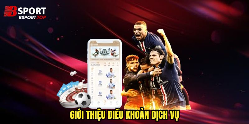 Điều Khoản Dịch Vụ - Những Quyền Lợi Hấp Dẫn - zivip.mom