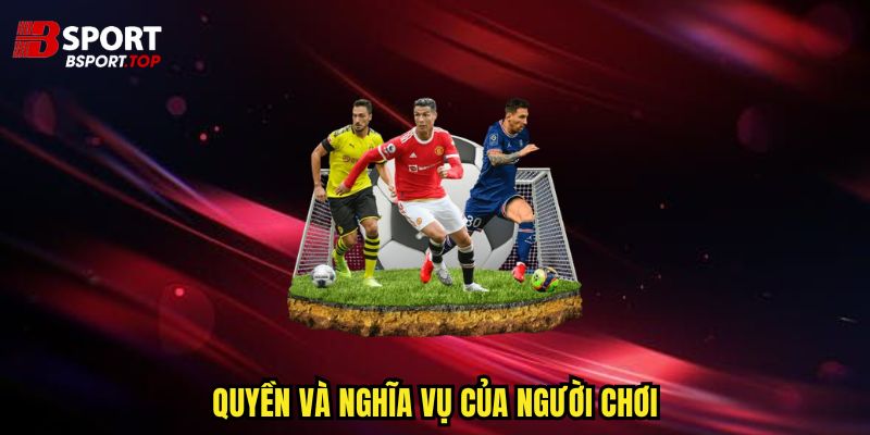 Điều Khoản Dịch Vụ - Những Quyền Lợi Hấp Dẫn - zivip.mom
