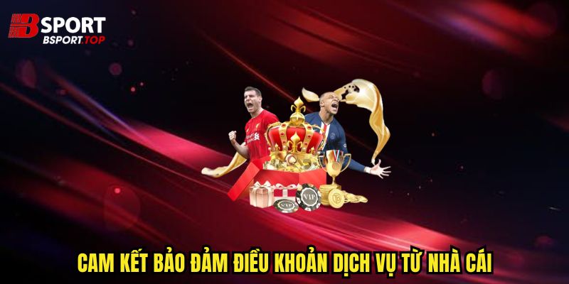 Điều Khoản Dịch Vụ - Những Quyền Lợi Hấp Dẫn - zivip.mom
