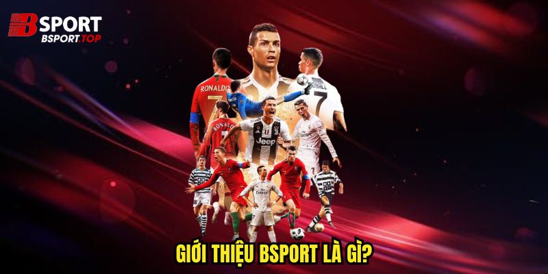 Giới Thiệu Bsport - Nhà Cái Uy Tín Hàng Đầu 2026 - zivip.mom