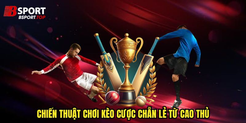 Kèo Cược Chẵn Lẻ - Hàng Loạt Tỉ Lệ Thưởng Hấp Dẫn - zivip.mom