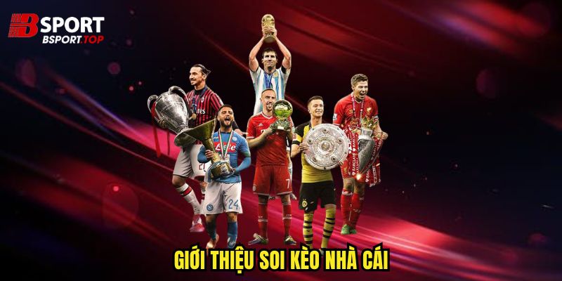 Soi Kèo Nhà Cái - Tuyệt Chiêu Cá Cược Hiệu Quả Nhất - zivip.mom