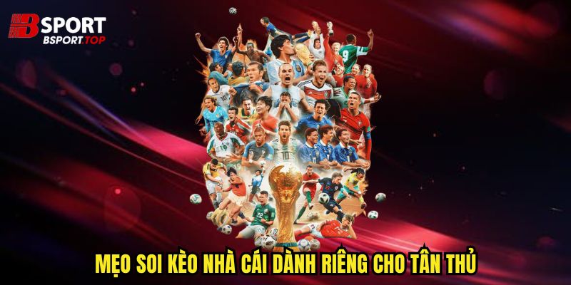 Soi Kèo Nhà Cái - Tuyệt Chiêu Cá Cược Hiệu Quả Nhất - zivip.mom